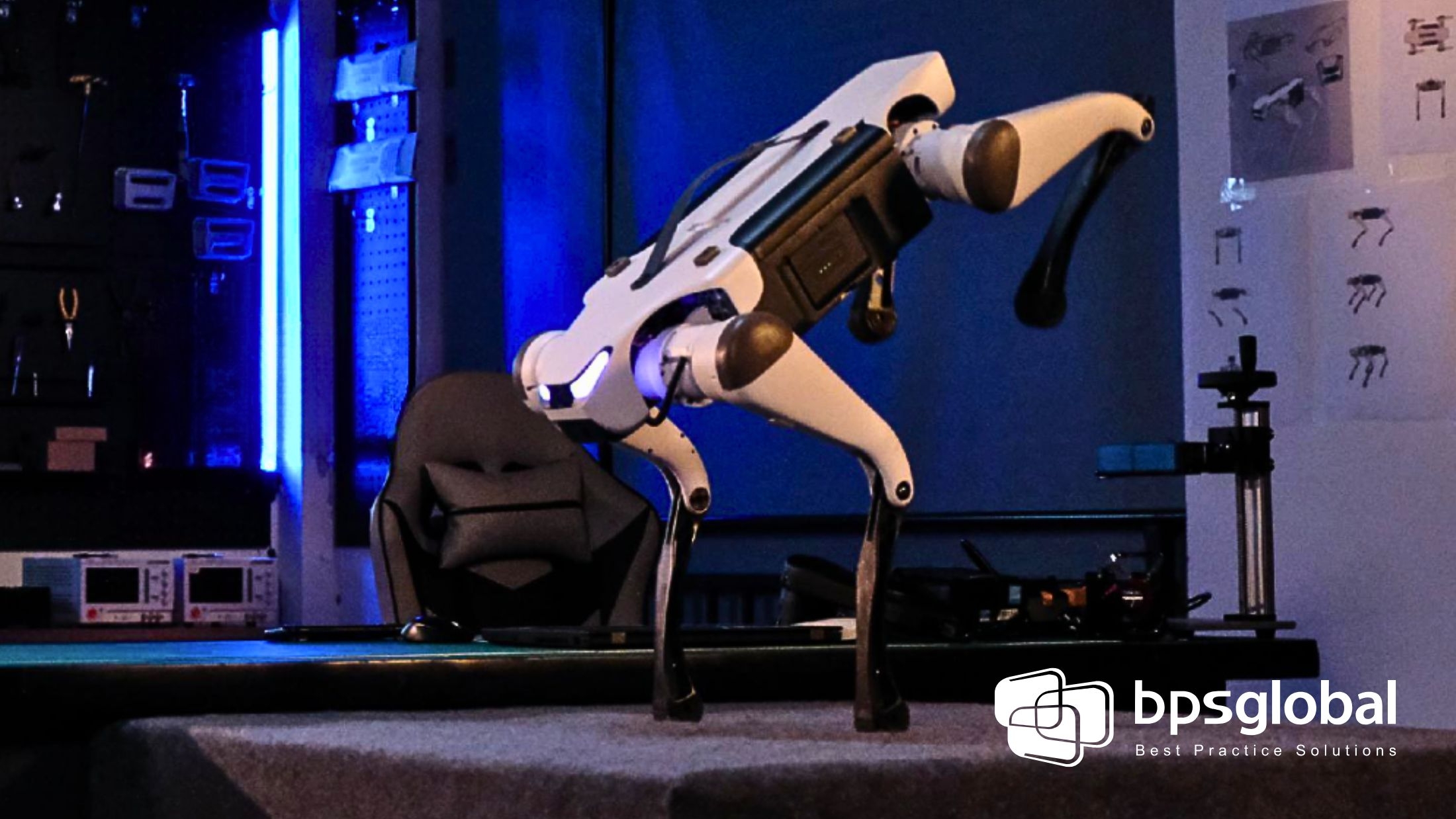 Lite robot dog front view for education