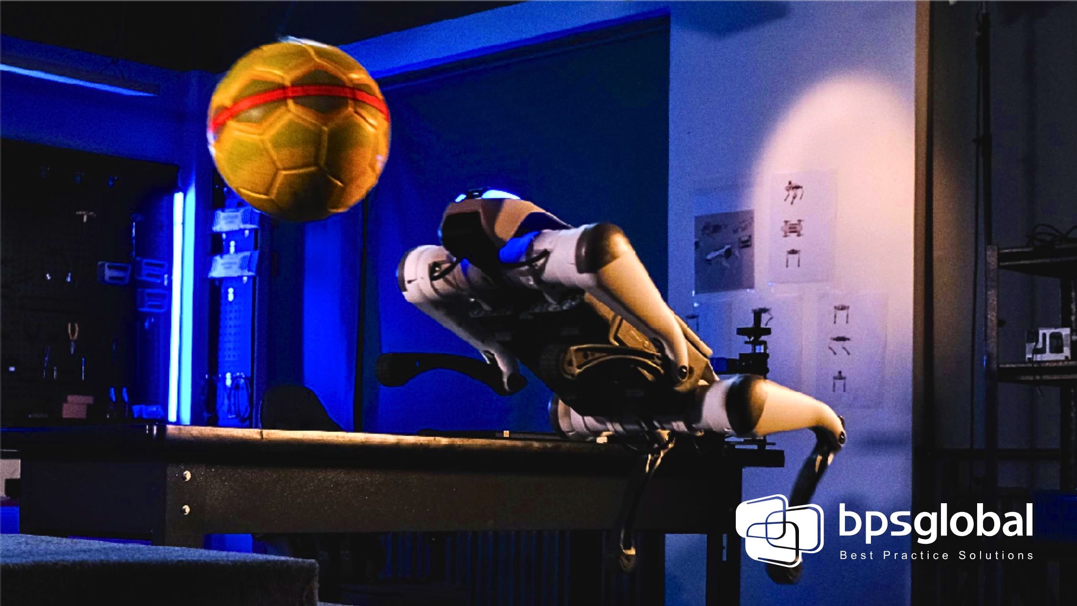 Lite robot dog operating in classroom