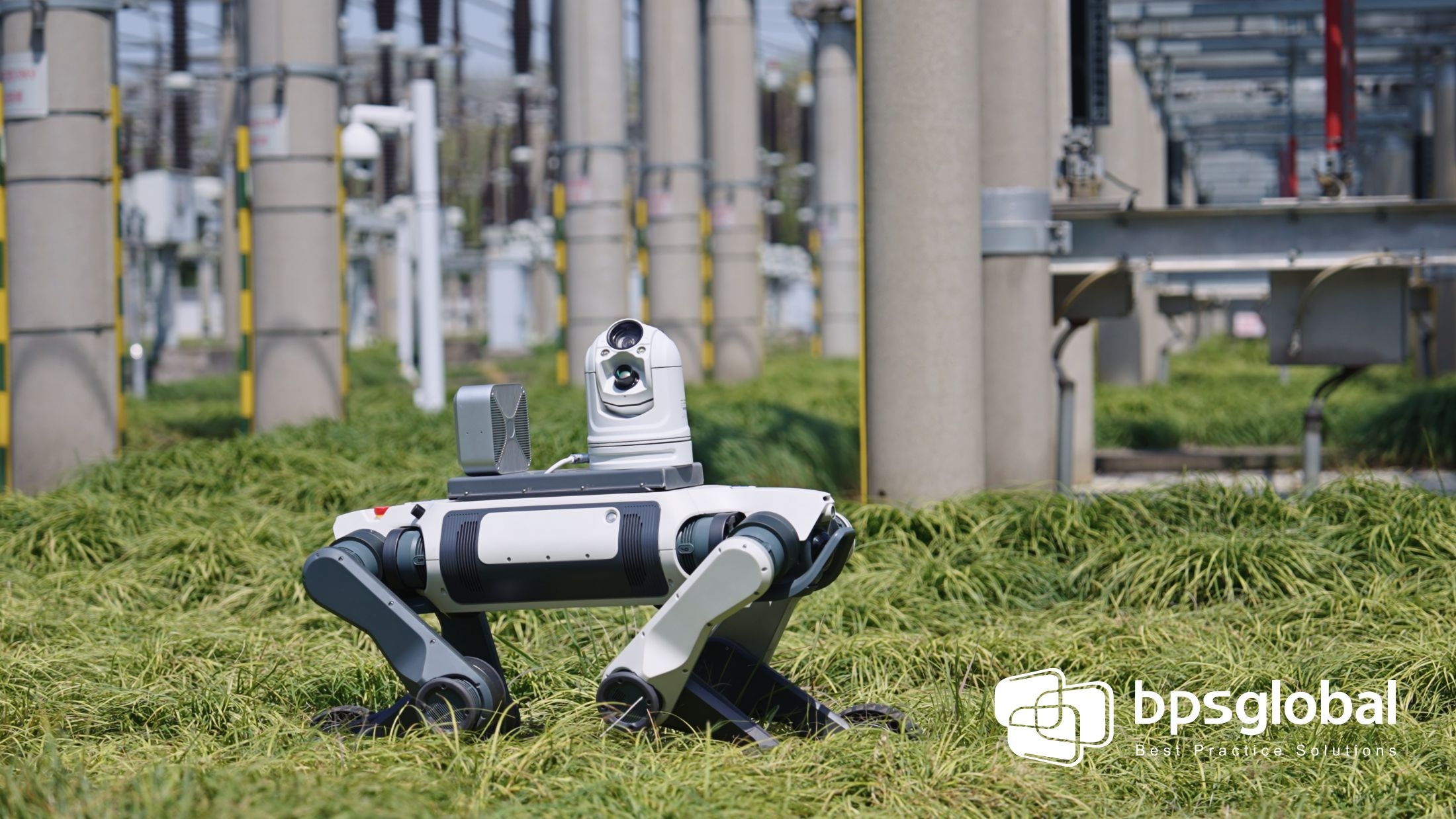 Robot dog patrolling construction site