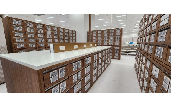 圖片_20251209111603