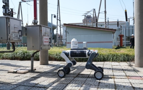 Robotic Dog-2