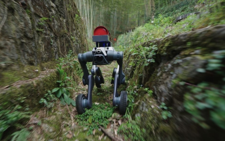 Robotic Dog-4