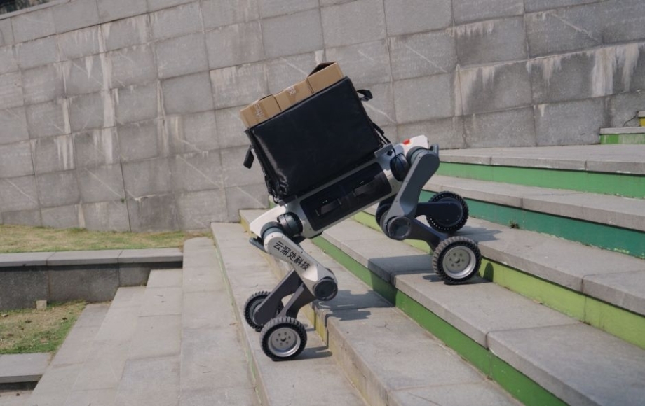 Robotic Dog-3