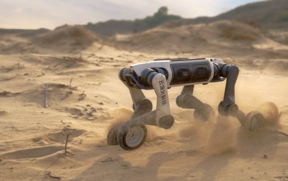 Robotic Dog-1