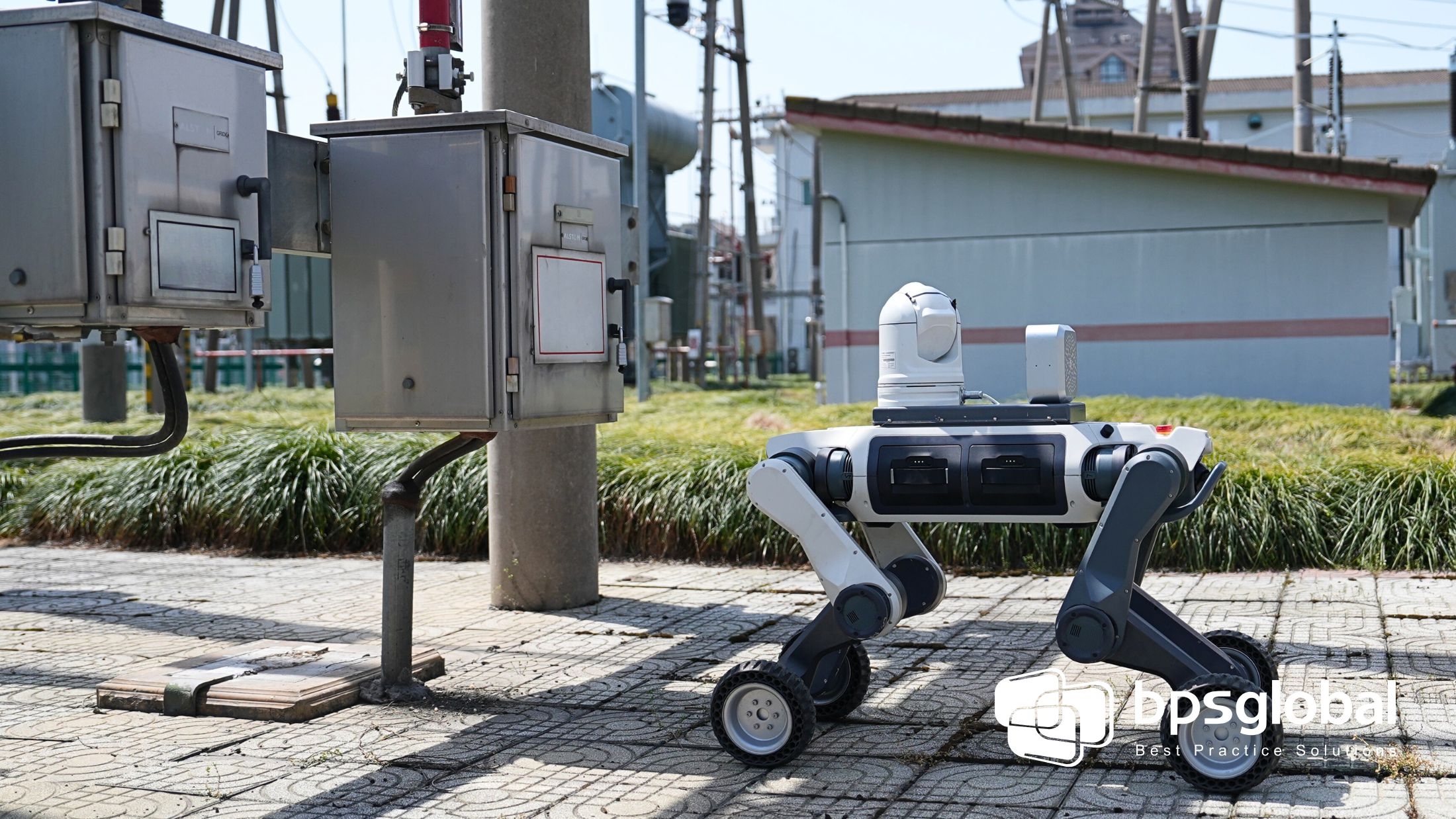 Deep Robotics quadruped robot dog demonstrating agility